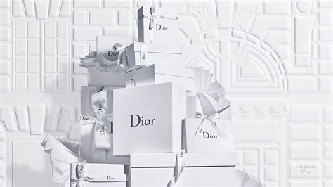 Christian Dior official website singapore